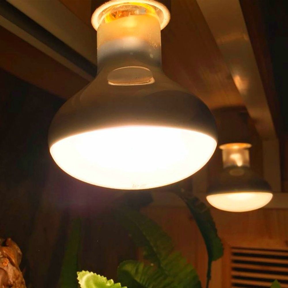 Basking Bulb Halogen - Schildpad Temperatuurregelaar Warmtelamp Zonnelicht Halogeenlamp Reptiel