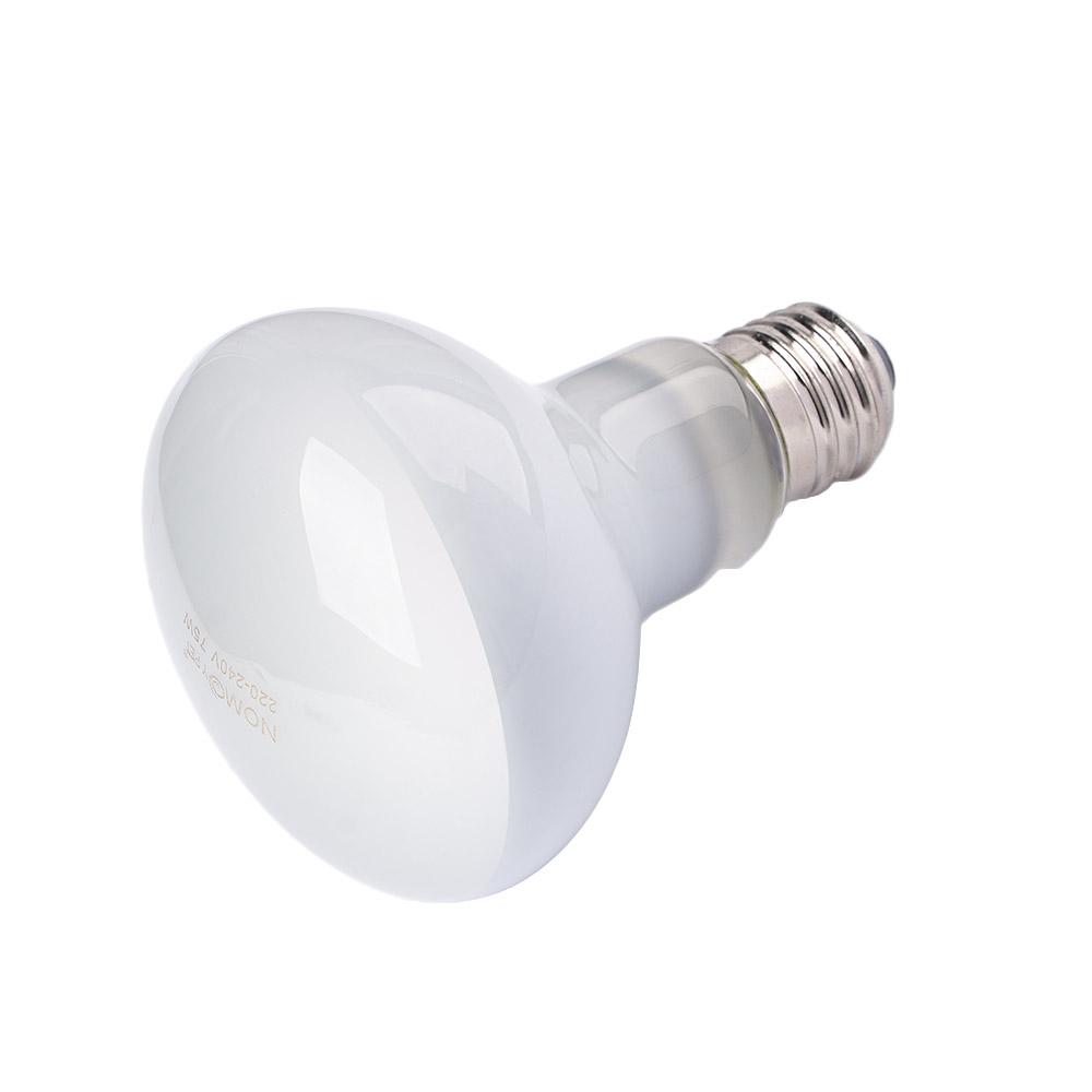 Hagedisverwarmer Temperatuurre - Basking Bulb Halogen recensie en prijs