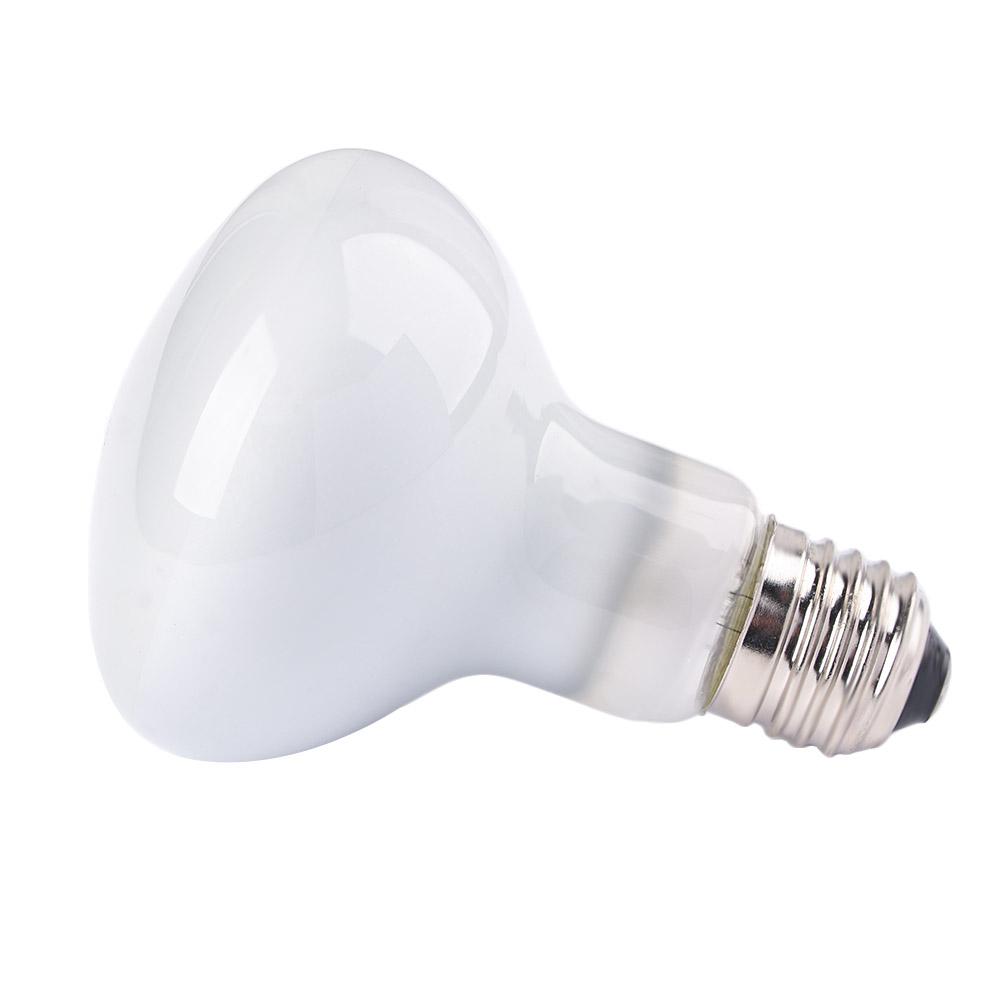 Hagedis Temperatuurregelaar Wa - Basking Bulb Halogen recensie en prijs