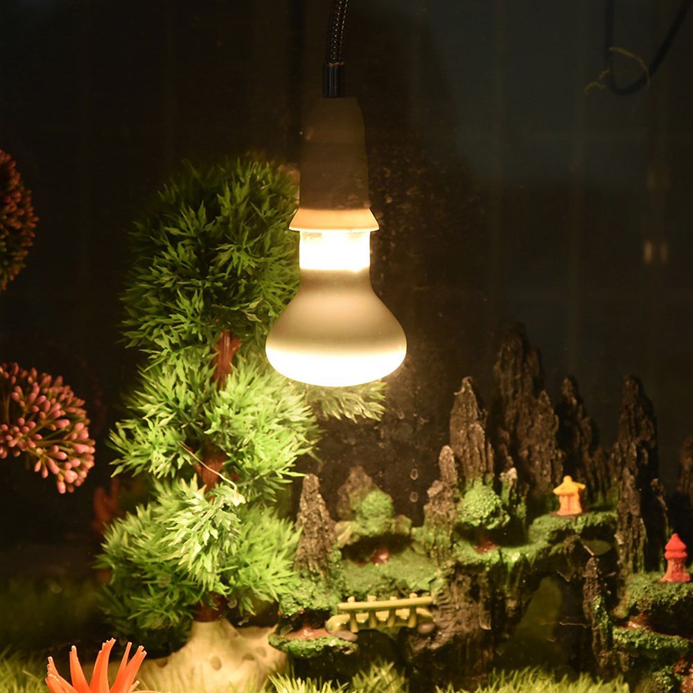 Schildpad Temperatuurregelaar  - Basking Bulb Halogen recensie en prijs