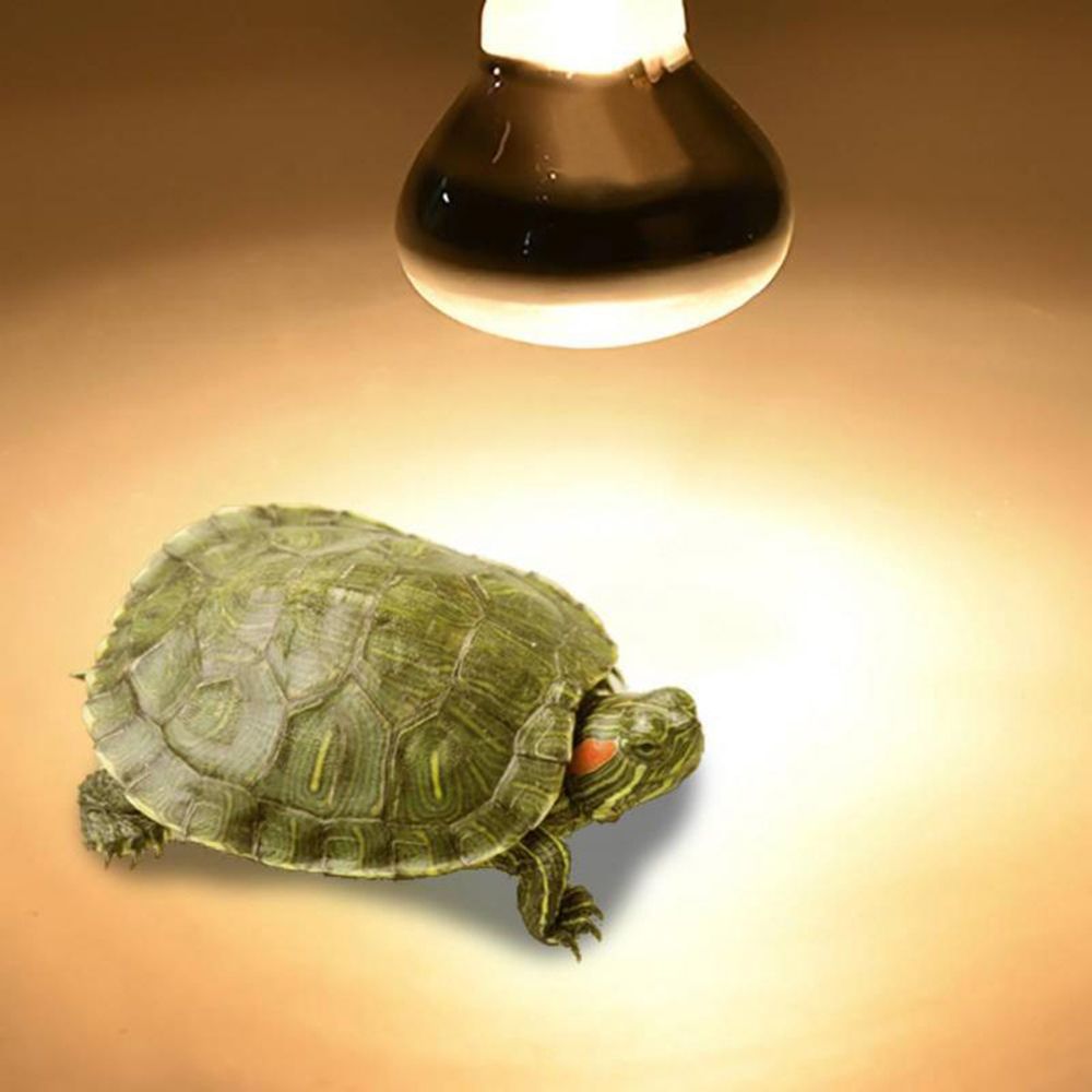 Amfibieën Warmtelamp Verwarmin - Basking Bulb Halogen recensie en prijs