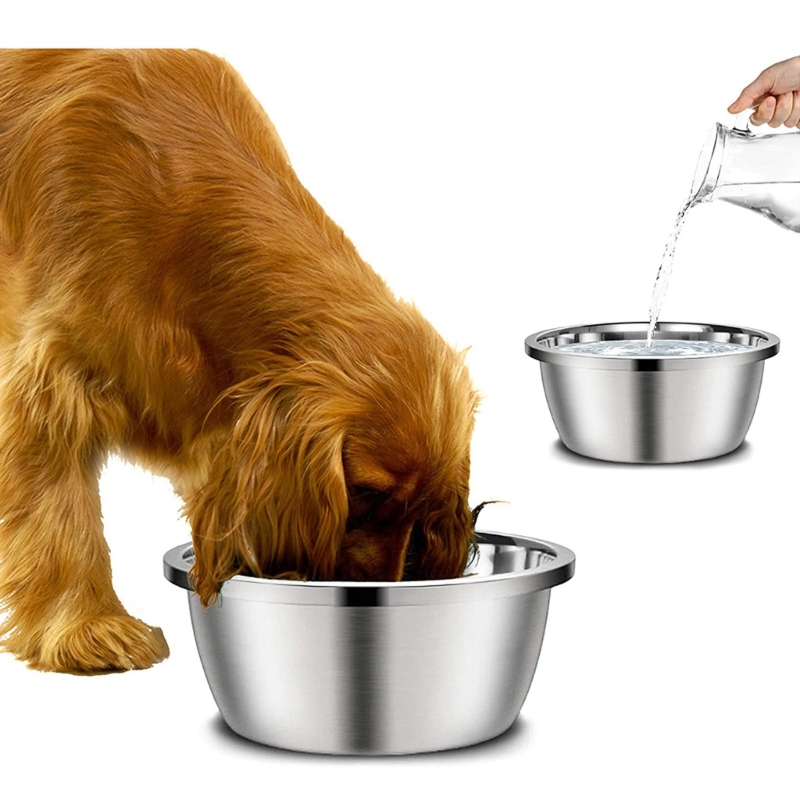 Rvs Hond Feeders 20 Cm 24 Cm 2 - Royal Canin Food Medium recensie en prijs
