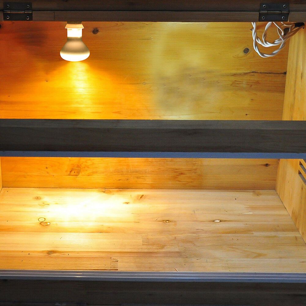 Hagedisverwarmer Temperatuurre - Basking Bulb Halogen recensie en prijs