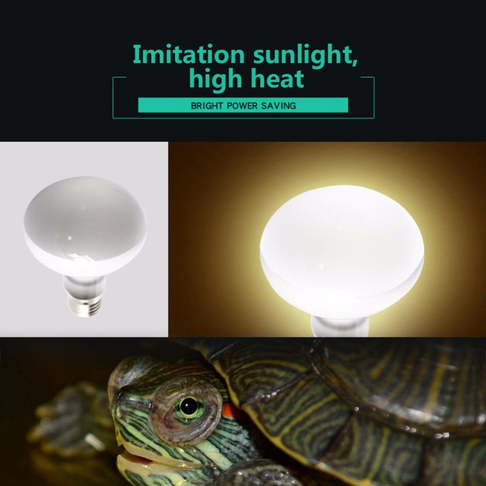 Amfibieën Warmtelamp Temperatu - Basking Bulb Halogen recensie en prijs